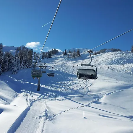 Daire Fischer Sankt Johann in Tirol